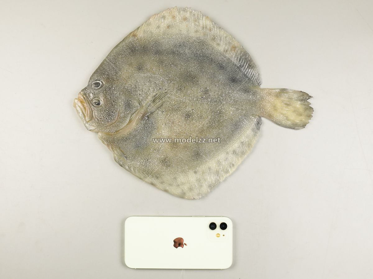 Turbot Seafood Resin Art Animal Sculpture