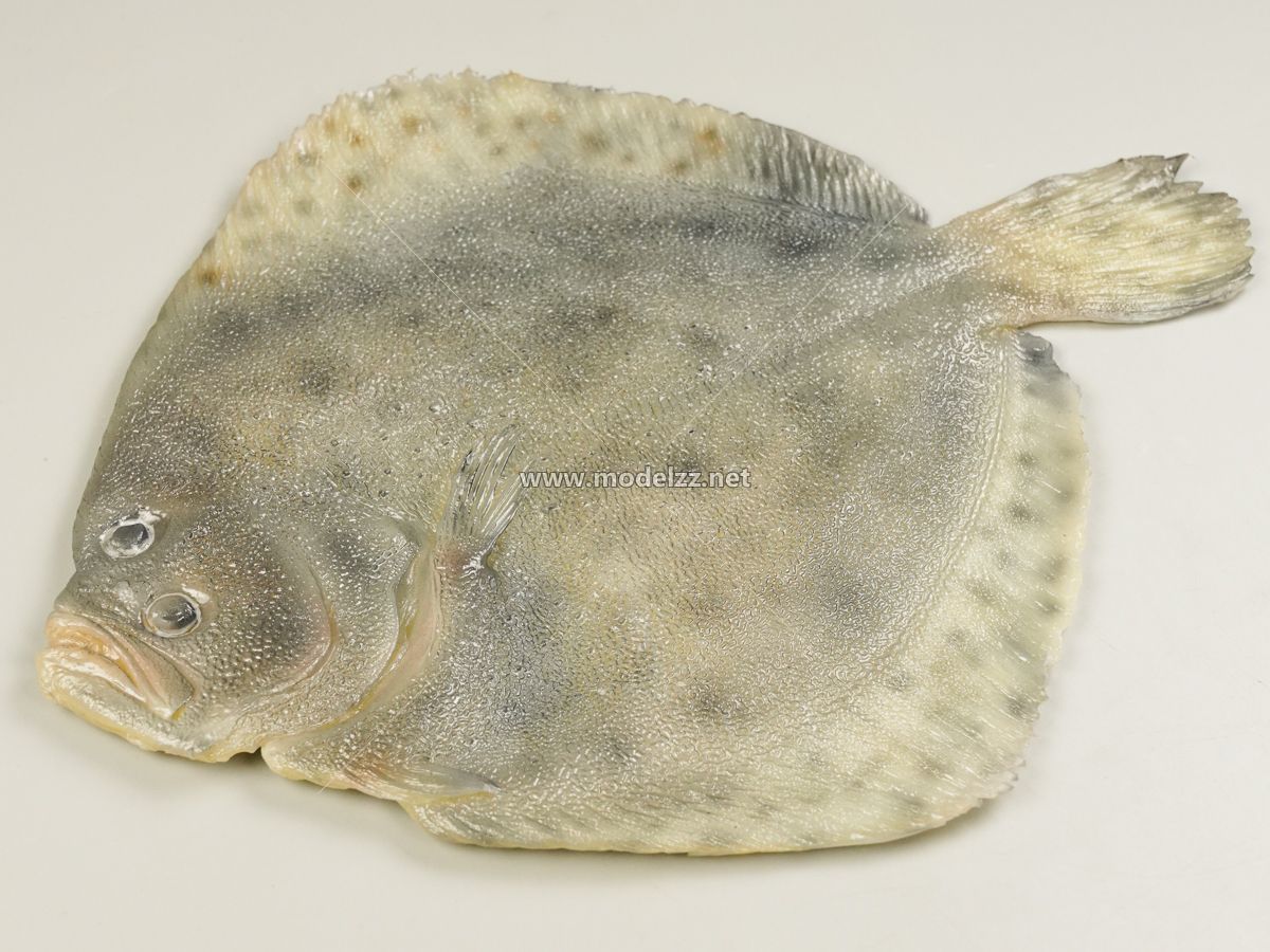 Turbot Seafood Resin Art Animal Sculpture