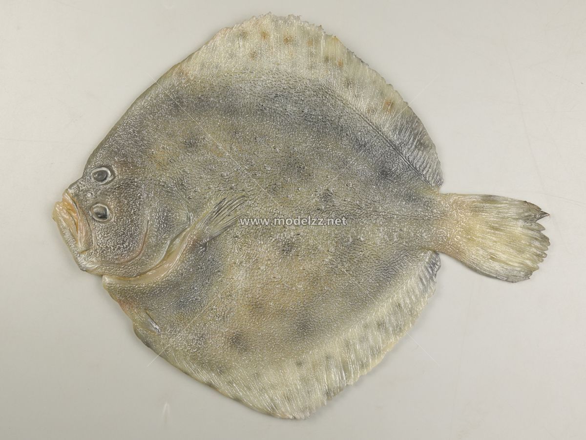 Turbot Seafood Resin Art Animal Sculpture