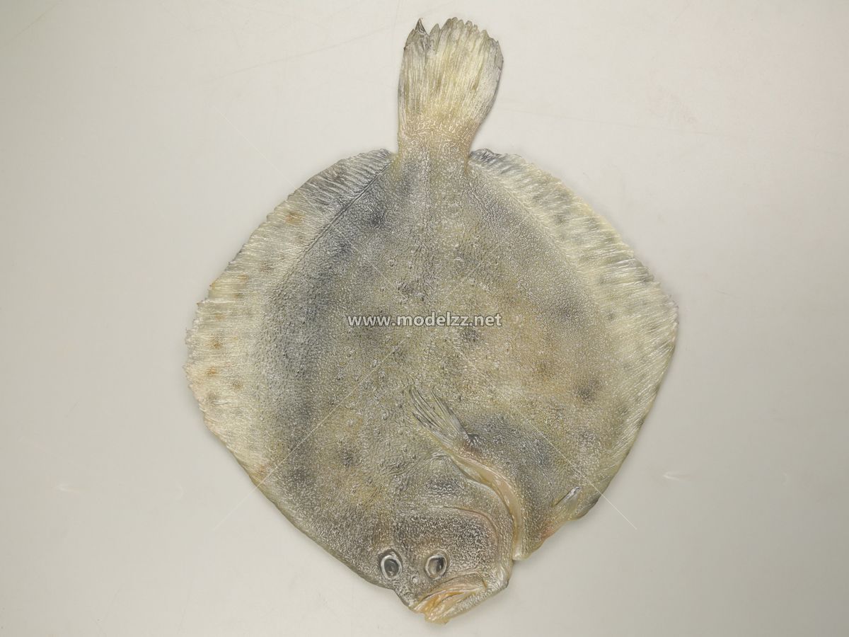 Turbot Seafood Resin Art Animal Sculpture
