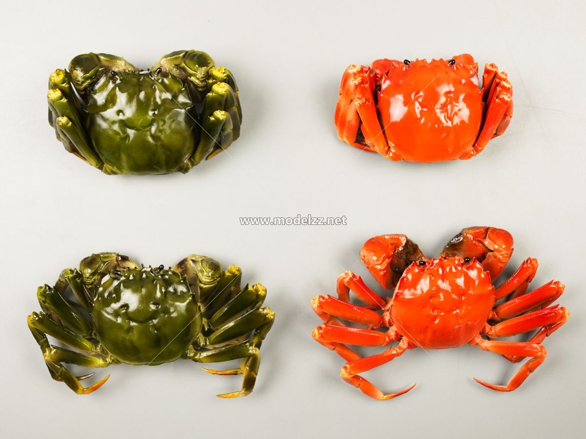 Various Crab Animal Sculpture Resin Art