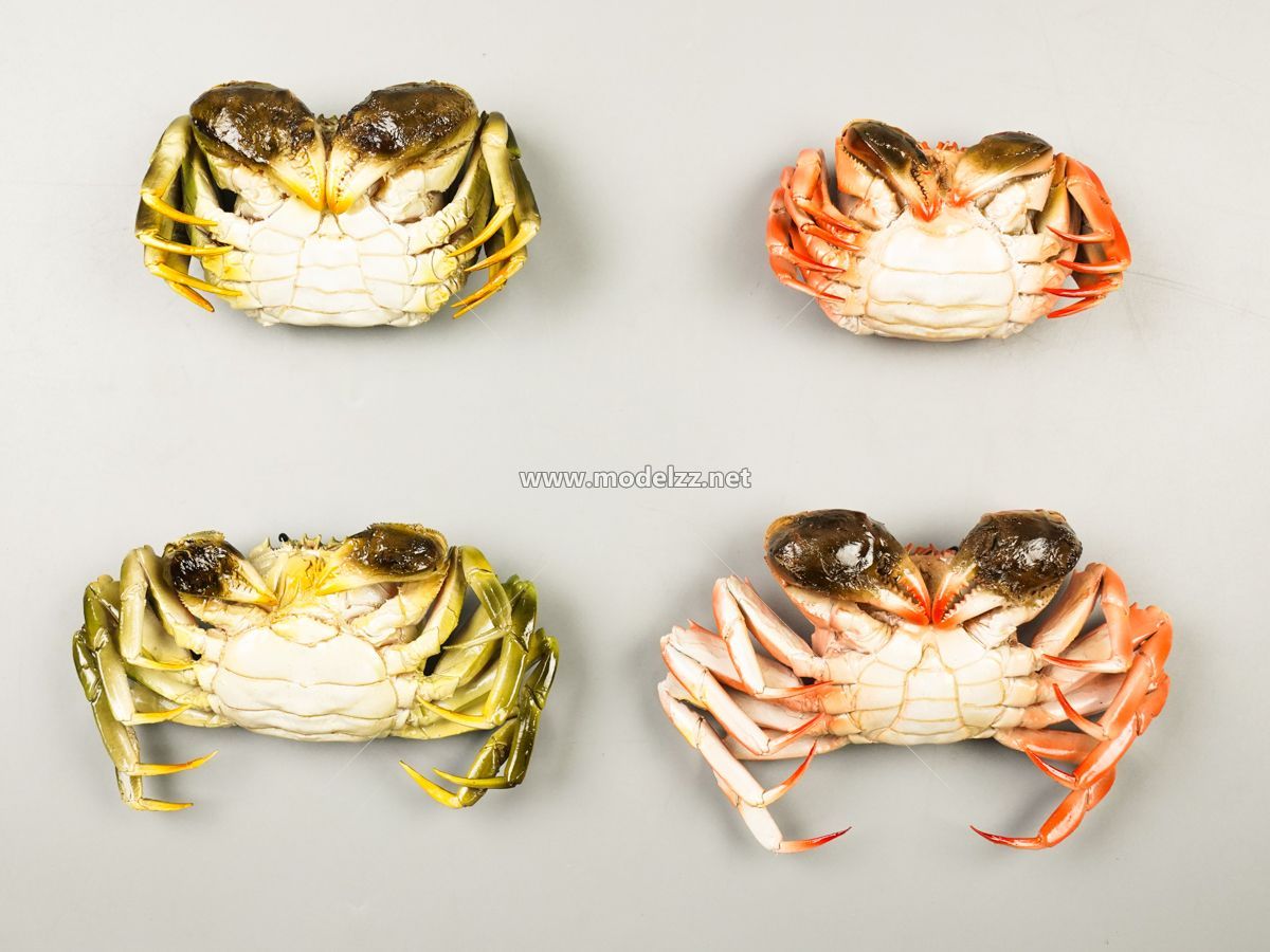 Various Crab Animal Sculpture Resin Art