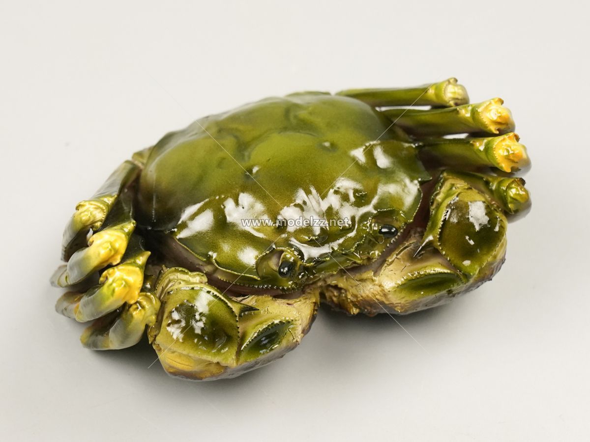 Various Crab Animal Sculpture Resin Art