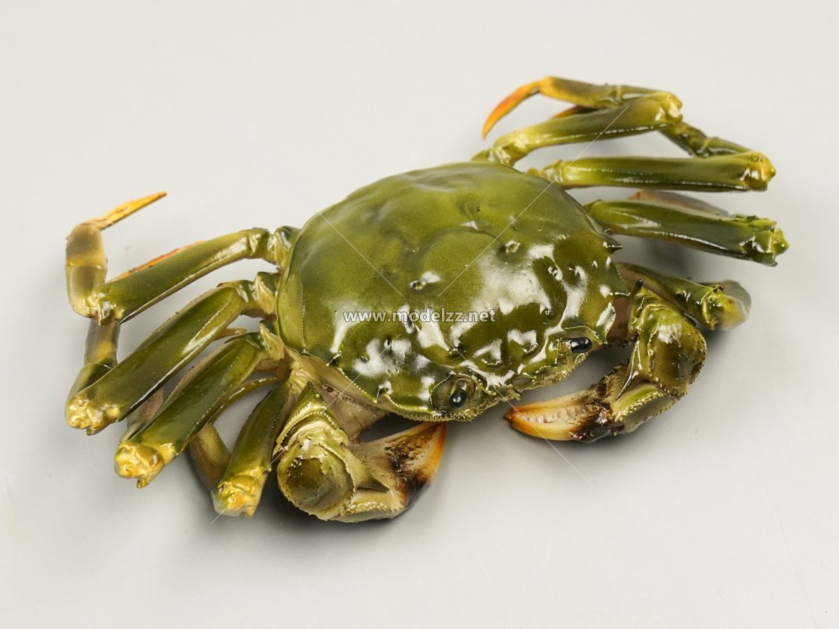 Various Crab Animal Sculpture Resin Art