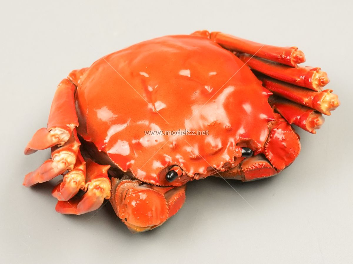Various Crab Animal Sculpture Resin Art