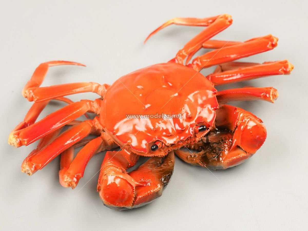 Various Crab Animal Sculpture Resin Art
