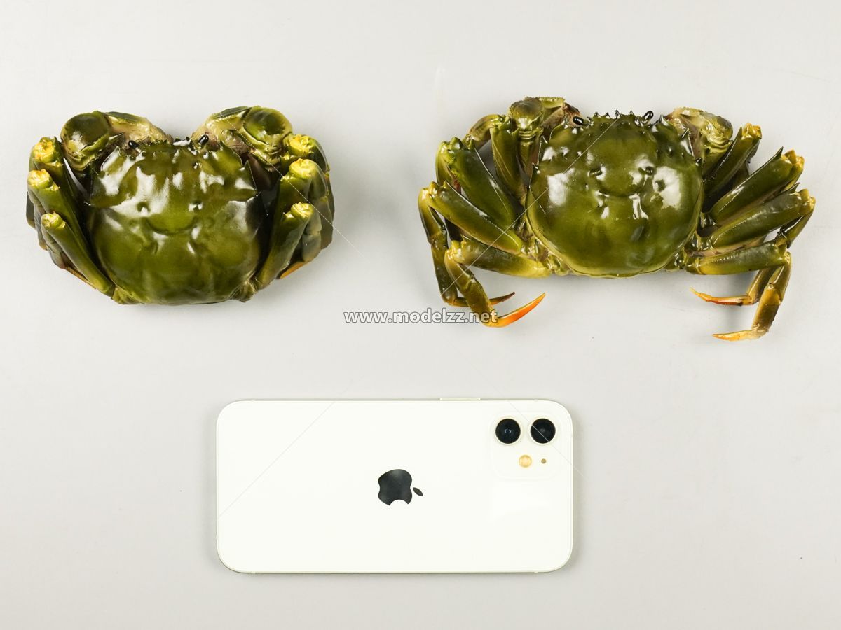 Various Crab Animal Sculpture Resin Art