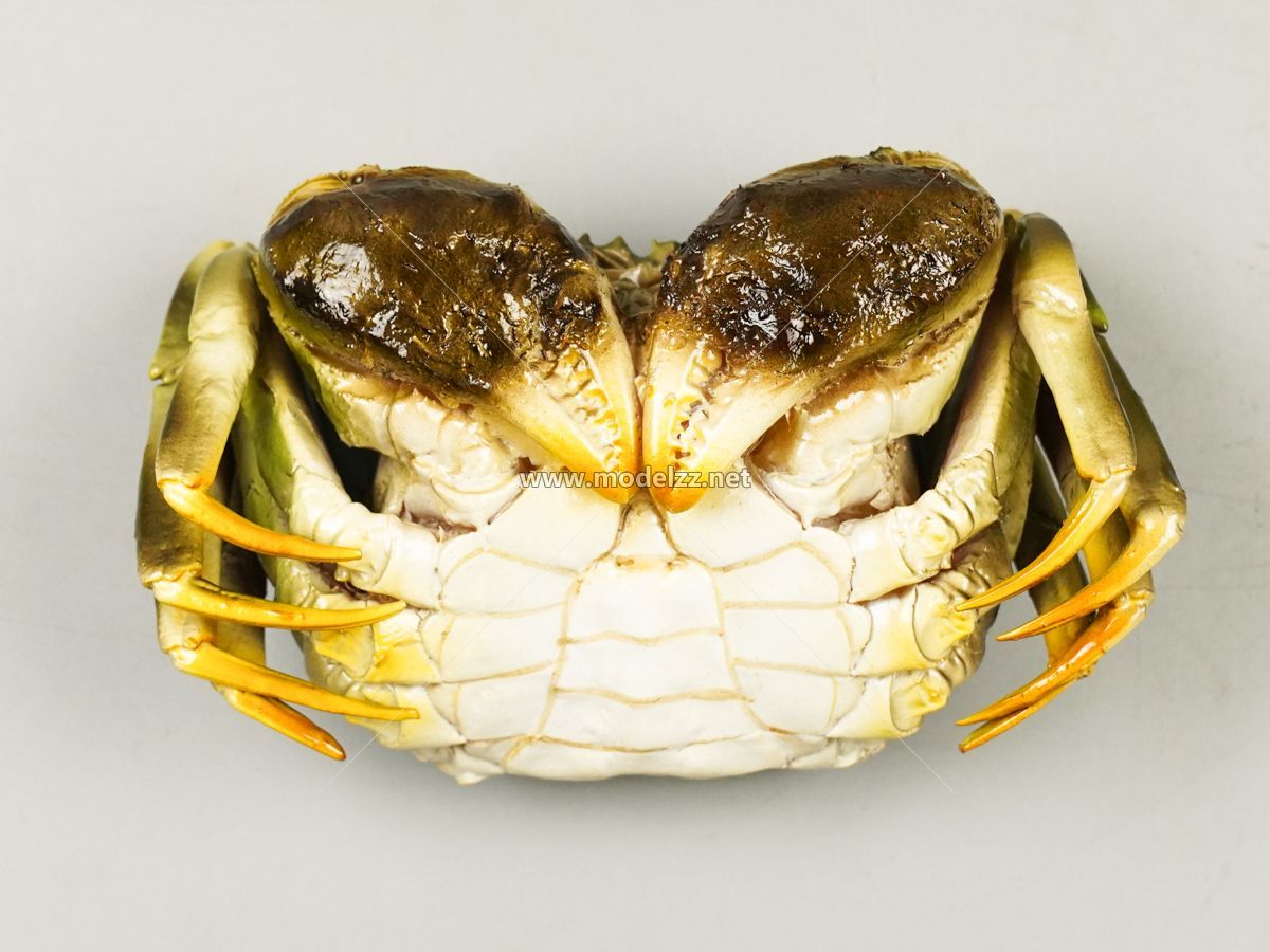 Various Crab Animal Sculpture Resin Art