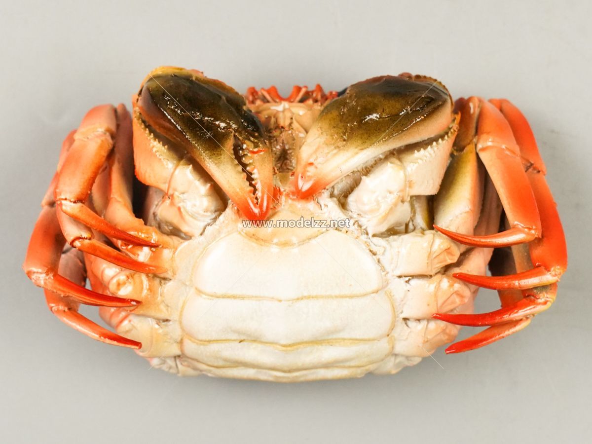 Various Crab Animal Sculpture Resin Art