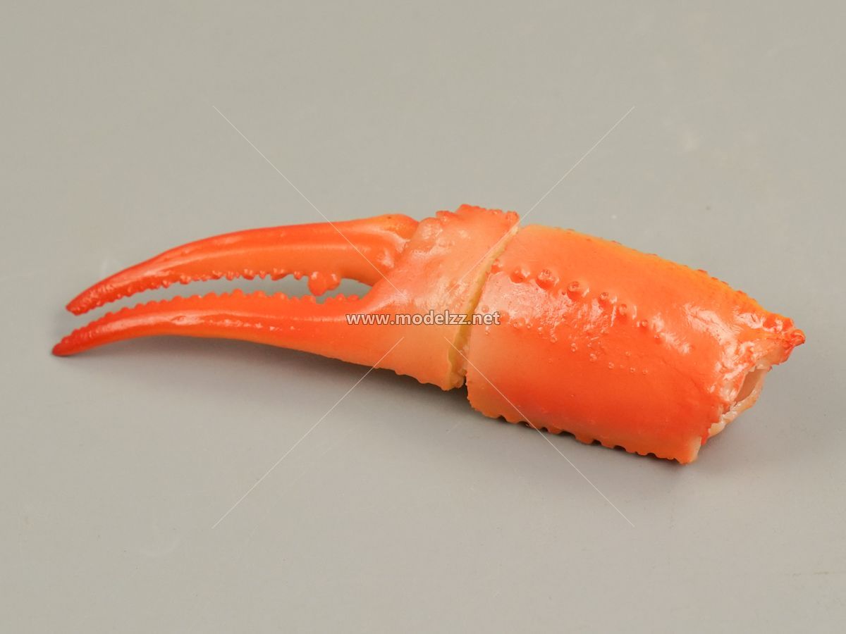 Crab Parts Resin Art 