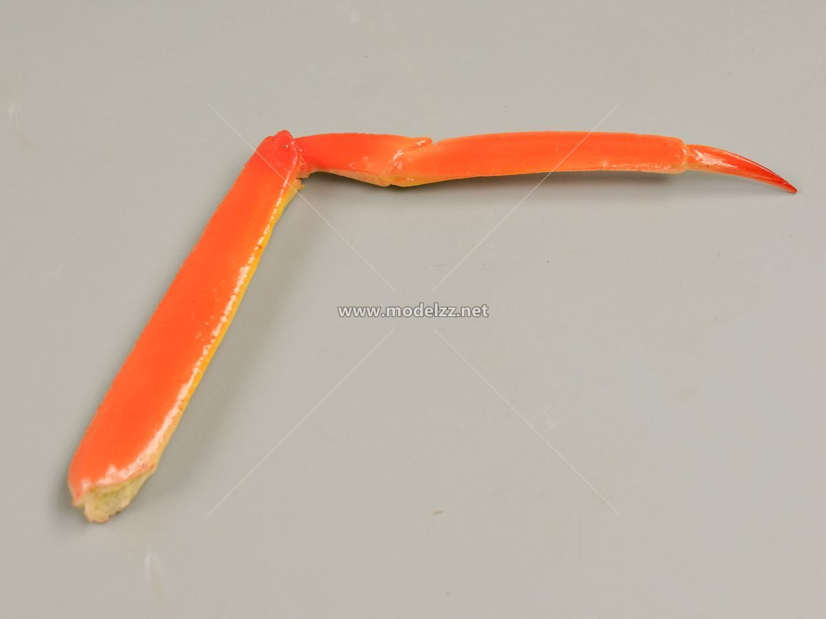 Crab Parts Resin Art 