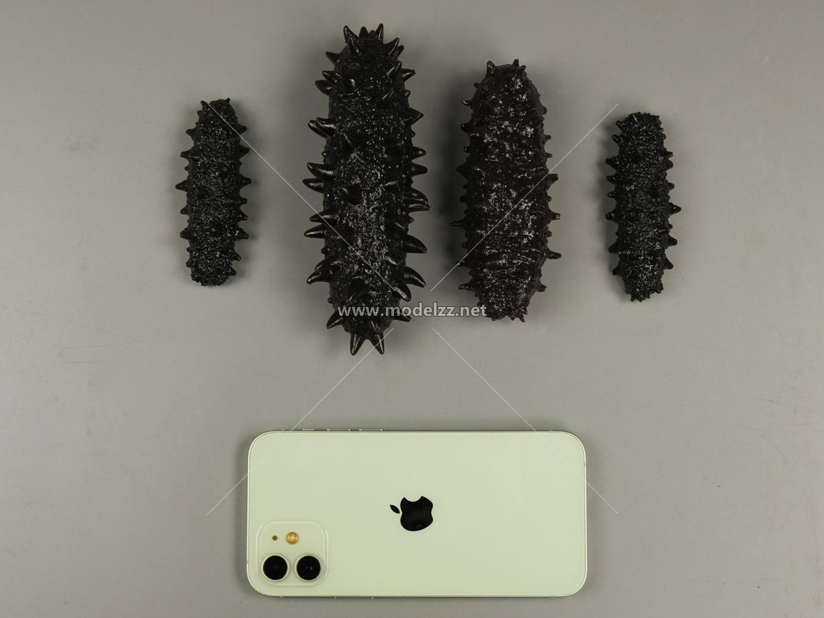 Trepang Simulation Food Model
