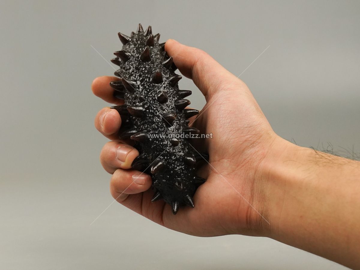 Trepang Simulation Food Model