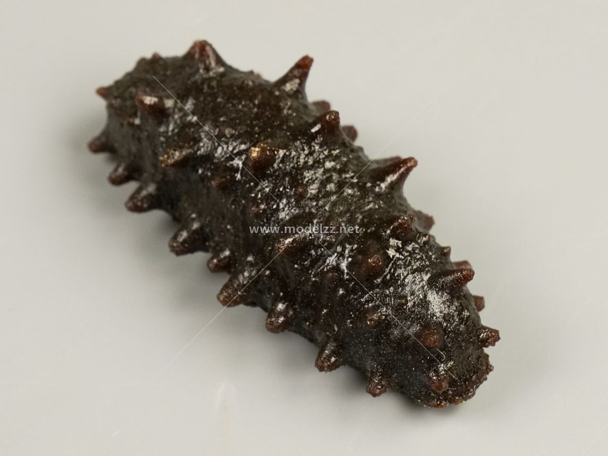 Trepang Simulation Food Model