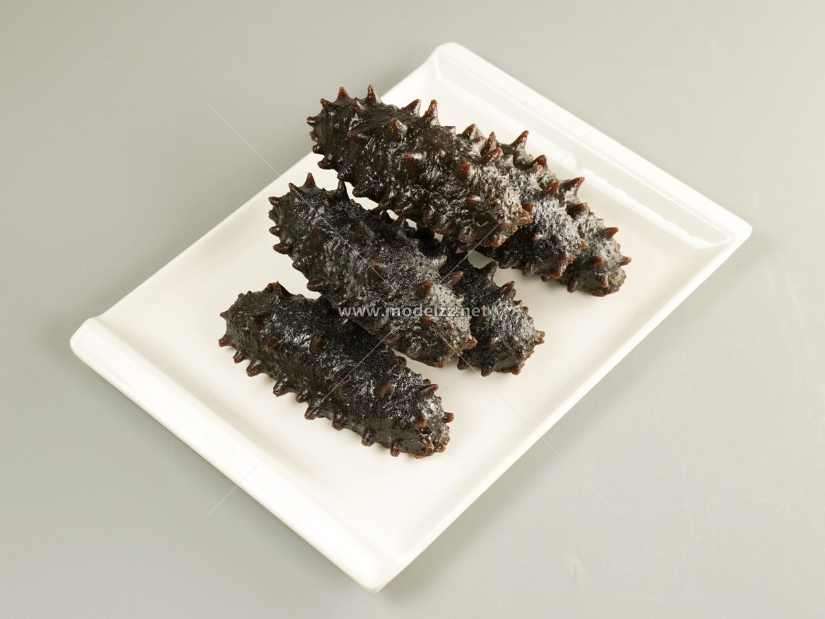Trepang Simulation Food Model