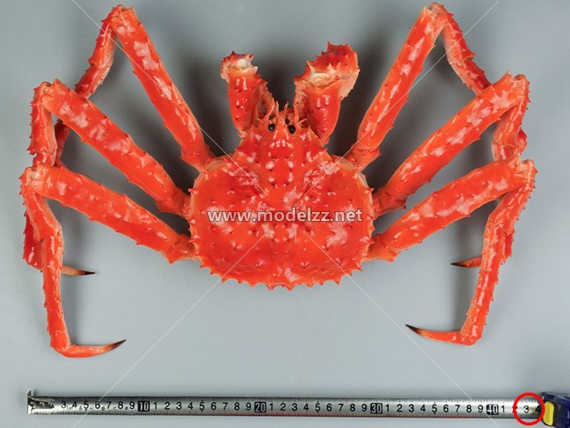 King Crab Animal Sculpture Restaurant Decoration
