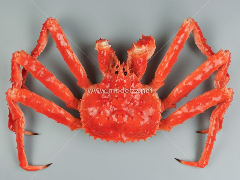 King Crab Animal Sculpture Restaurant Decoration