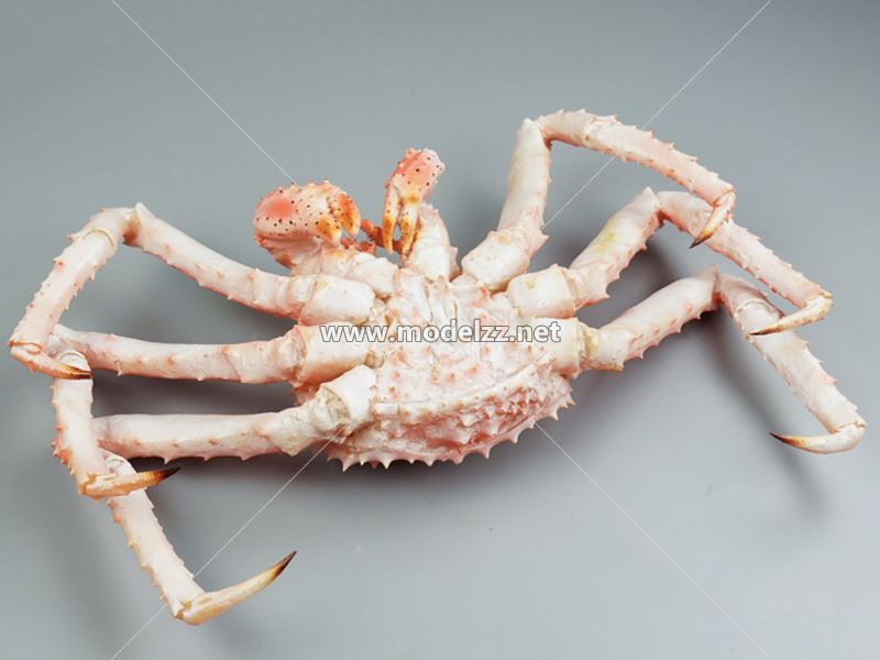 King Crab Animal Sculpture Restaurant Decoration