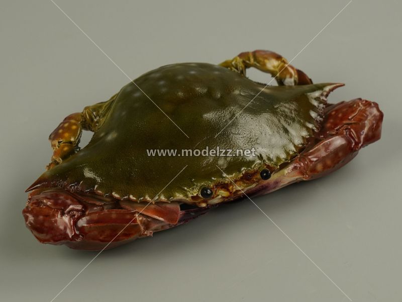 Crab Animal Sculpture Resin Art