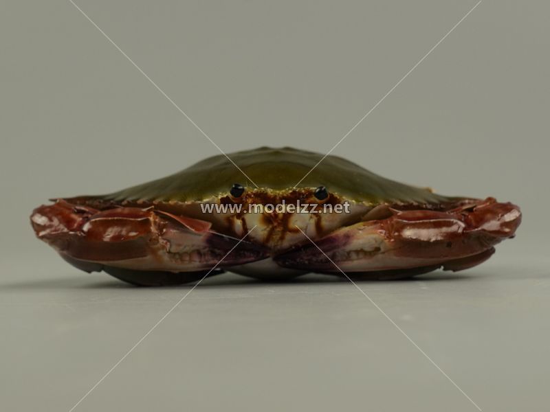 Crab Animal Sculpture Resin Art
