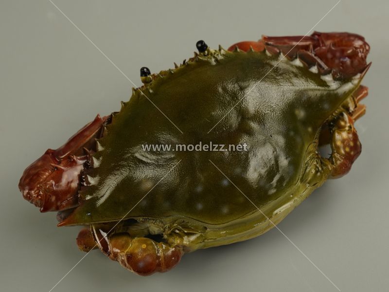 Crab Animal Sculpture Resin Art