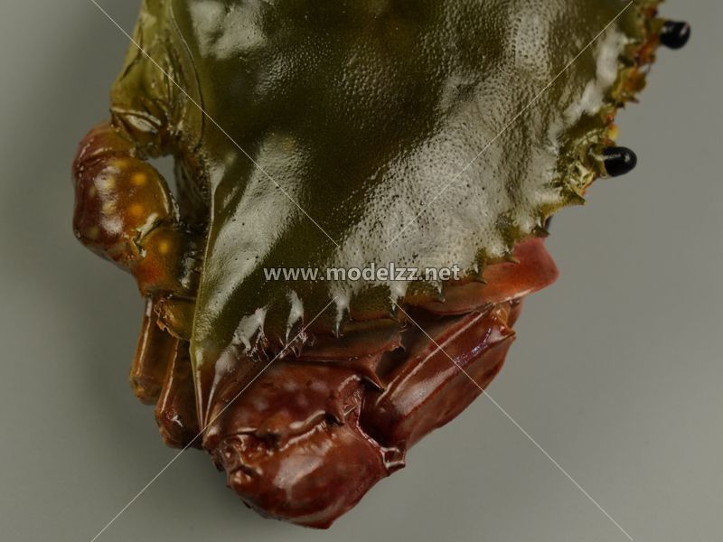 Crab Animal Sculpture Resin Art