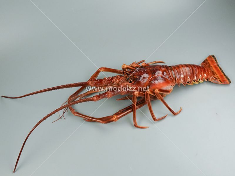 Boston Lobster Simulation Food Model 