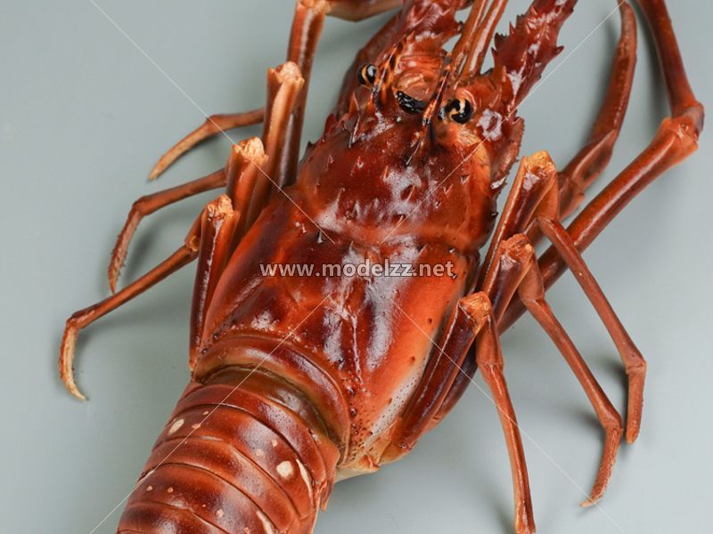 Boston Lobster Simulation Food Model 