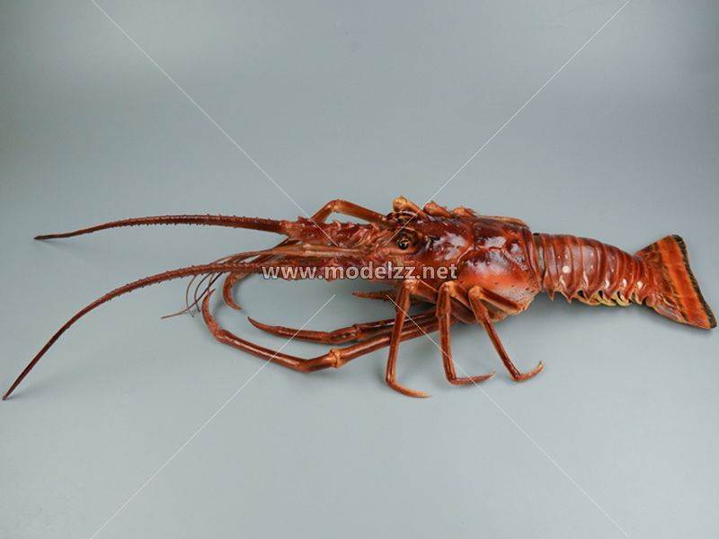 Boston Lobster Simulation Food Model 