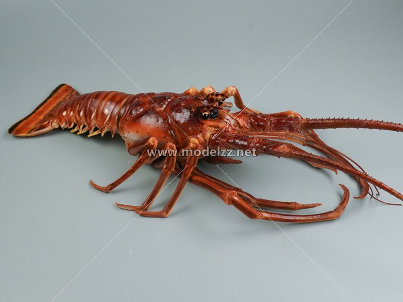 Boston Lobster Simulation Food Model 