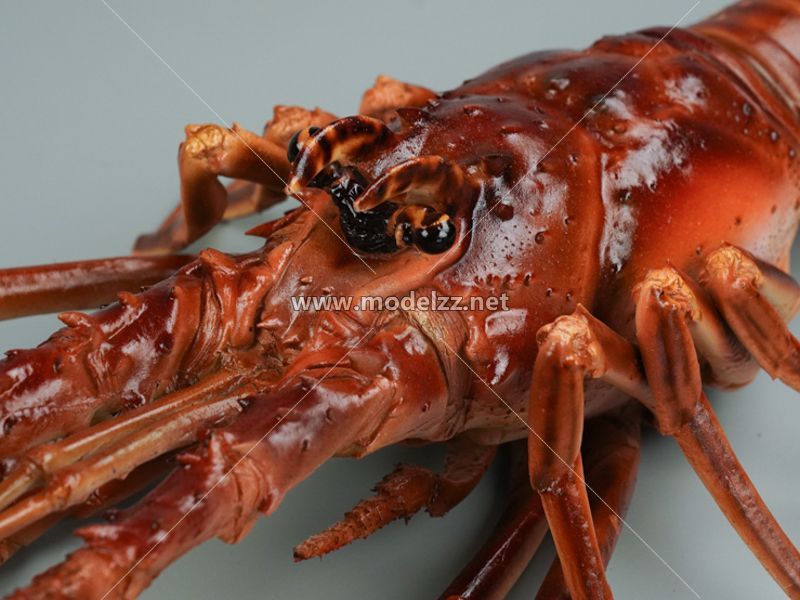 Boston Lobster Simulation Food Model 