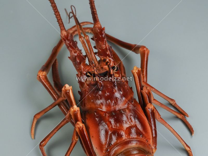 Boston Lobster Simulation Food Model 