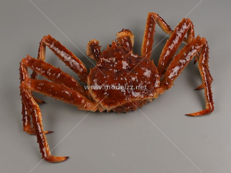 Big Crab Plastic Food Models