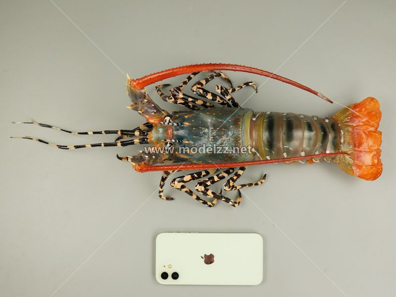 Lobster Plastic Food Models