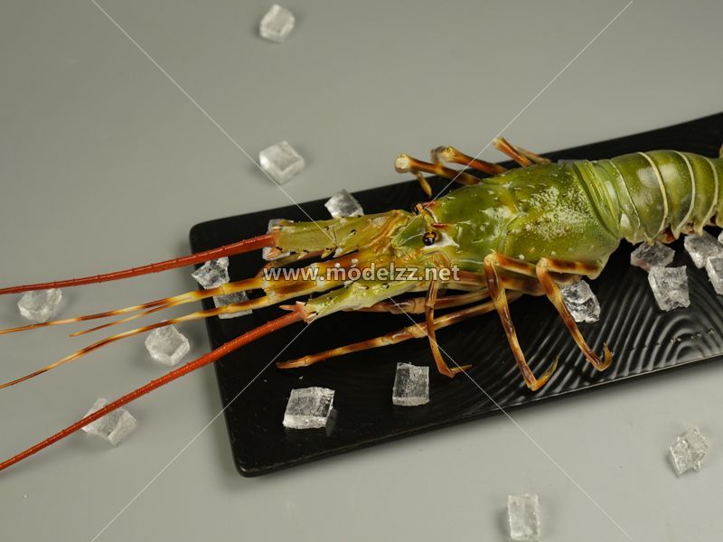 Lobster Plastic Food Models
