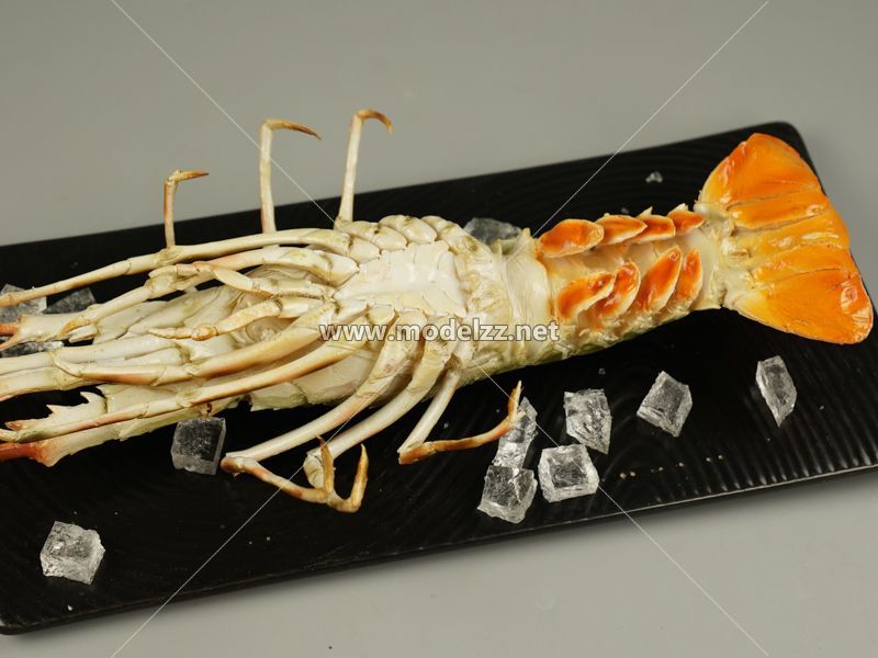Lobster Plastic Food Models