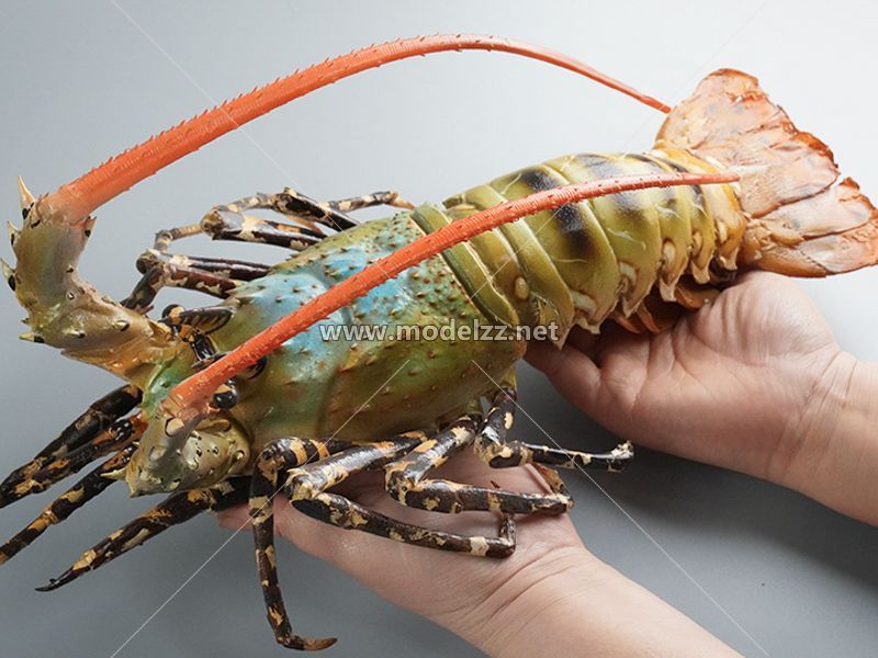 Lobster Plastic Food Models