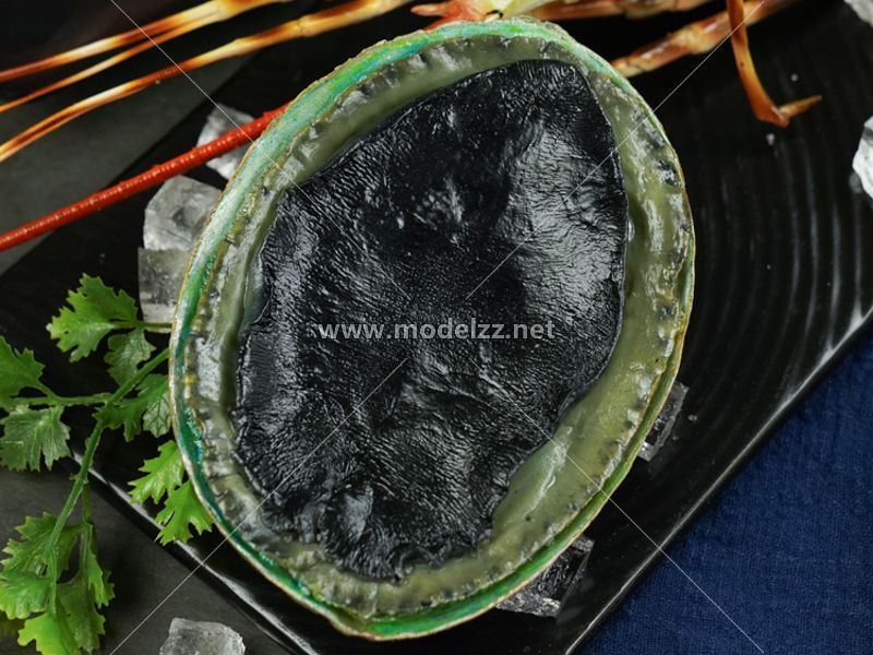 Abalone Plastic Food Models