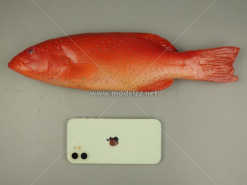 Seafood Fish Simulation Food Model