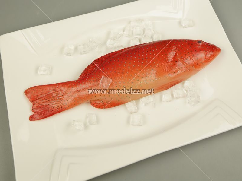 Seafood Fish Simulation Food Model