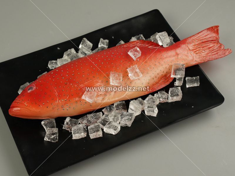 Seafood Fish Simulation Food Model