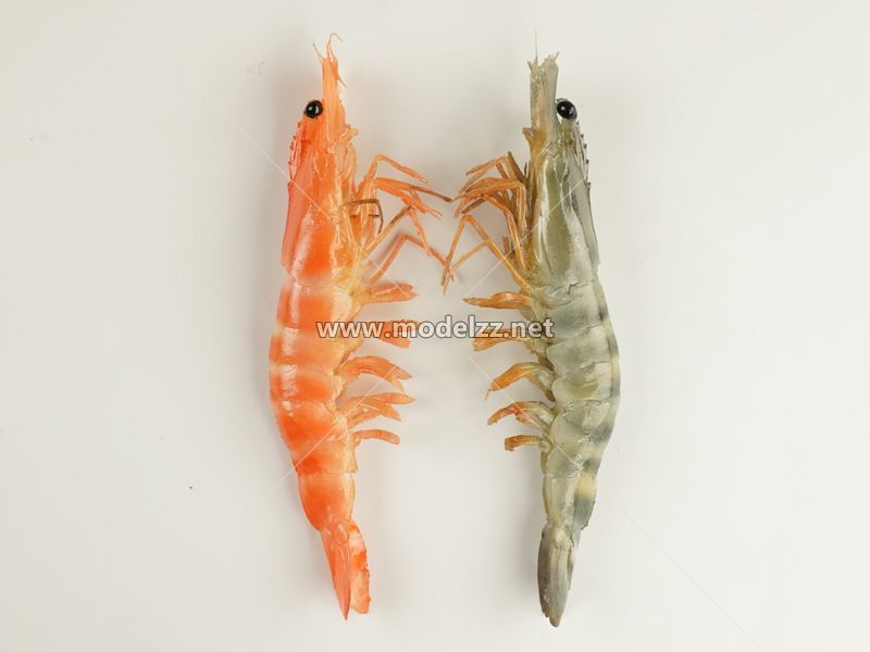 Shrimp Simulation Food Model