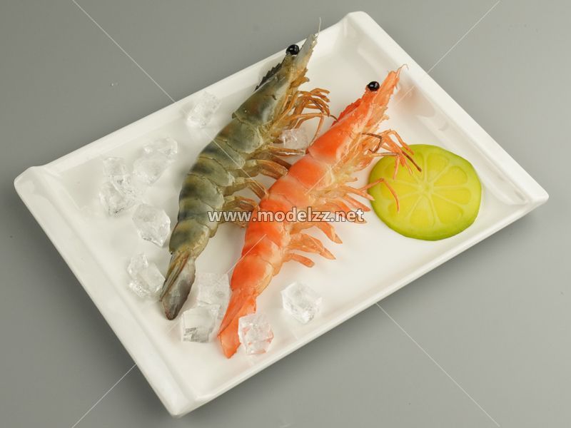 Shrimp Simulation Food Model