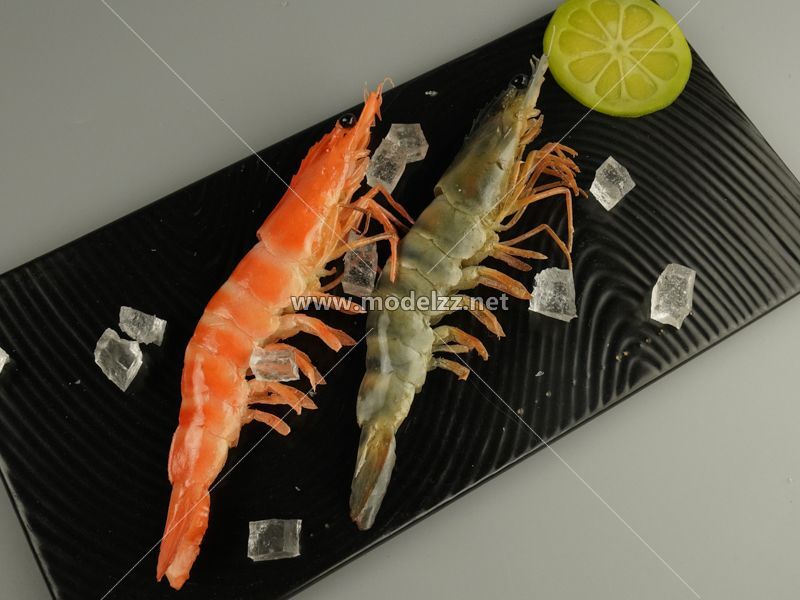 Shrimp Simulation Food Model