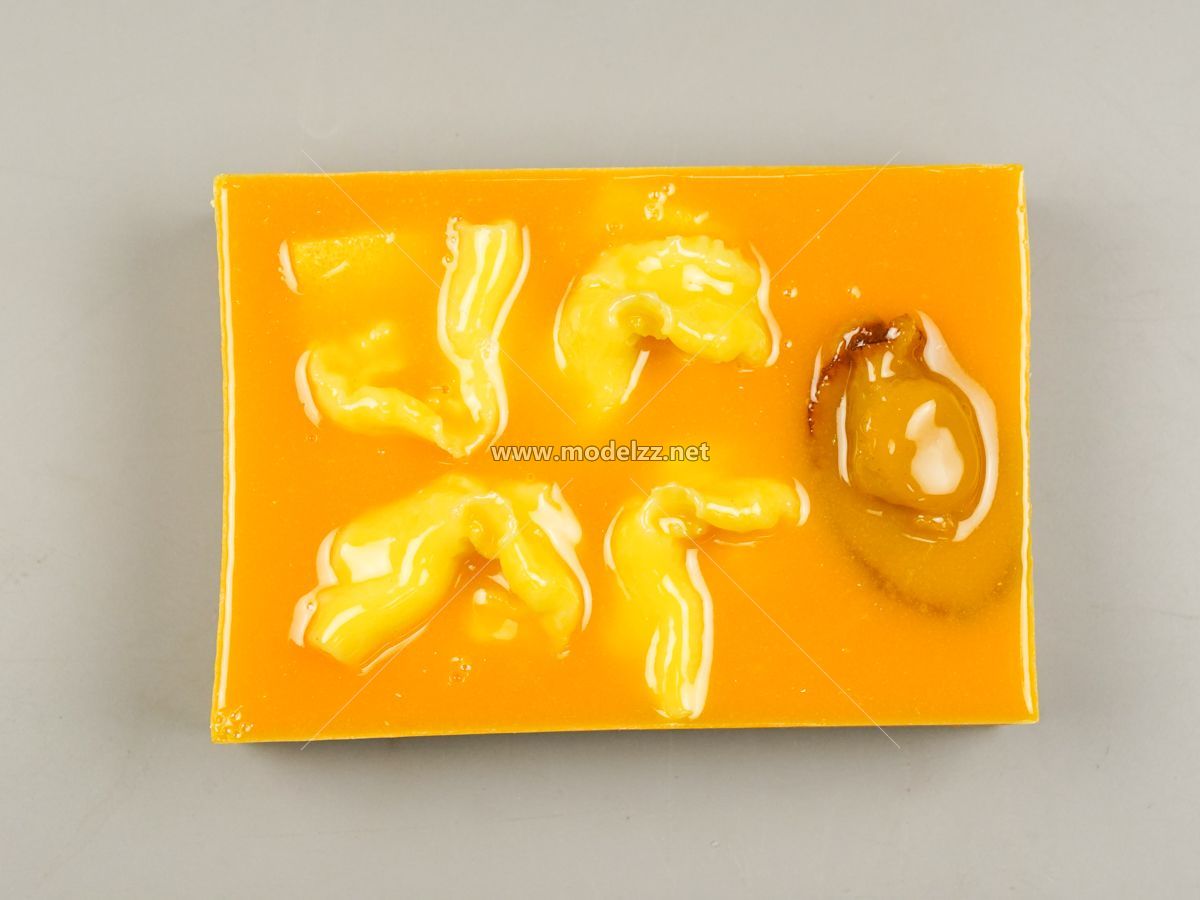 Seafood Rice Food Plastic Food Models