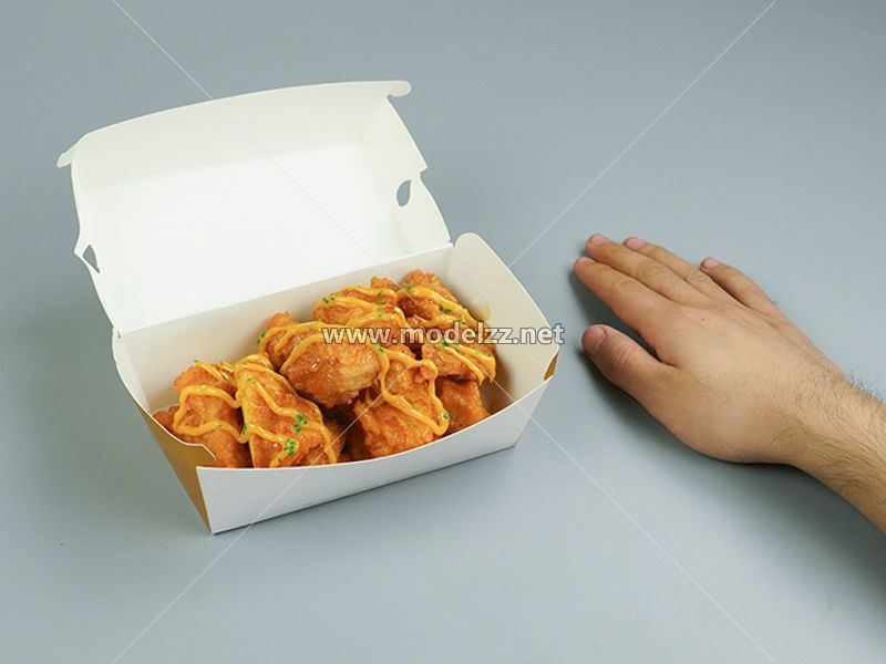 Fried Chicken and Fries  Simulation Food Model 
