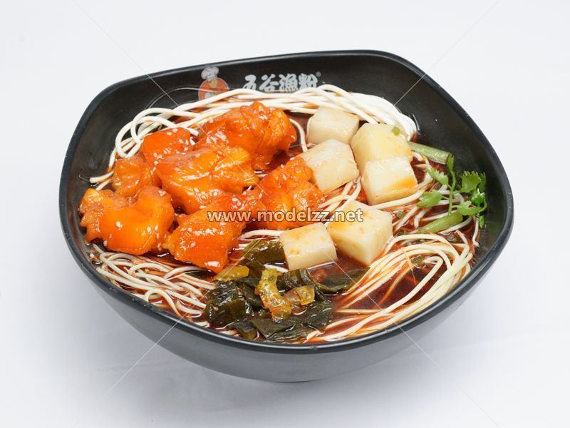 Fish Meal and Noodle Plastic Food Models