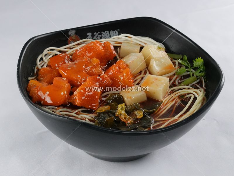 Fish Meal and Noodle Plastic Food Models