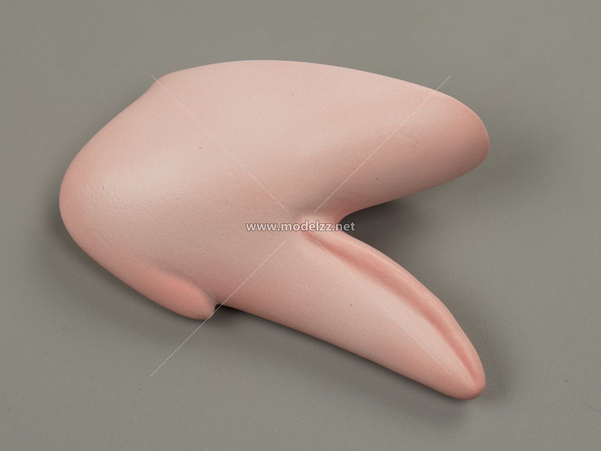 Chicken Parts Simulation Food Model