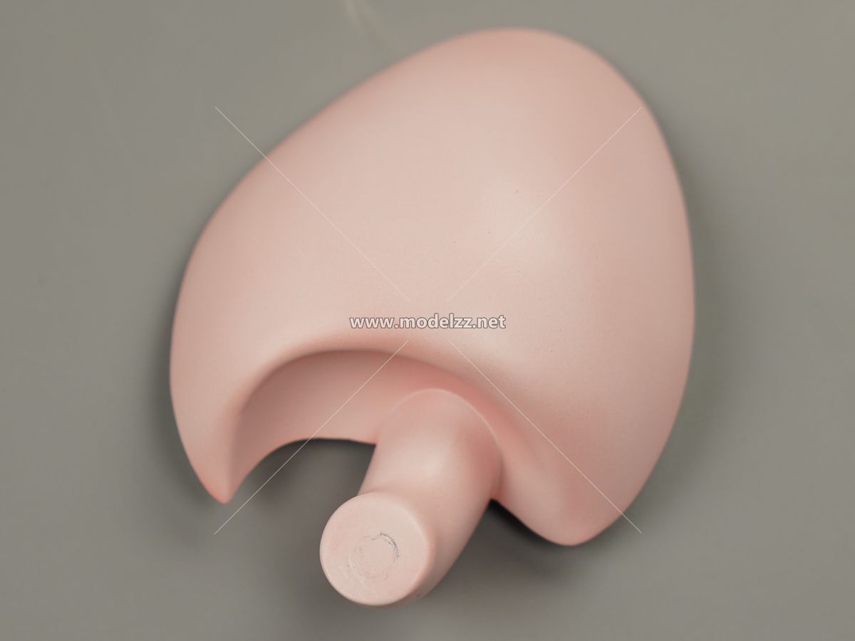 Chicken Parts Simulation Food Model
